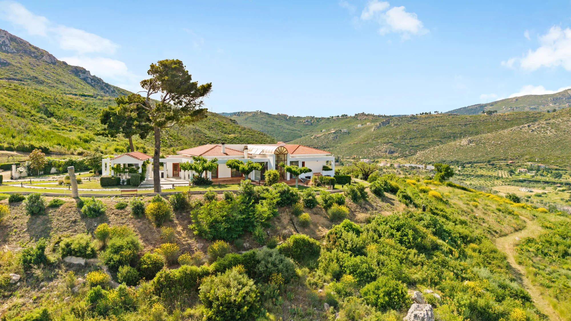 Verde Vista, the private hilltop estate in Afidnes, a single pine beside the house and the valley beyond